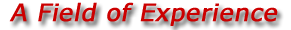 A Feild of Experience