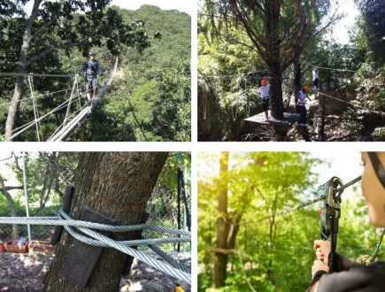 Canopy Tour Photos